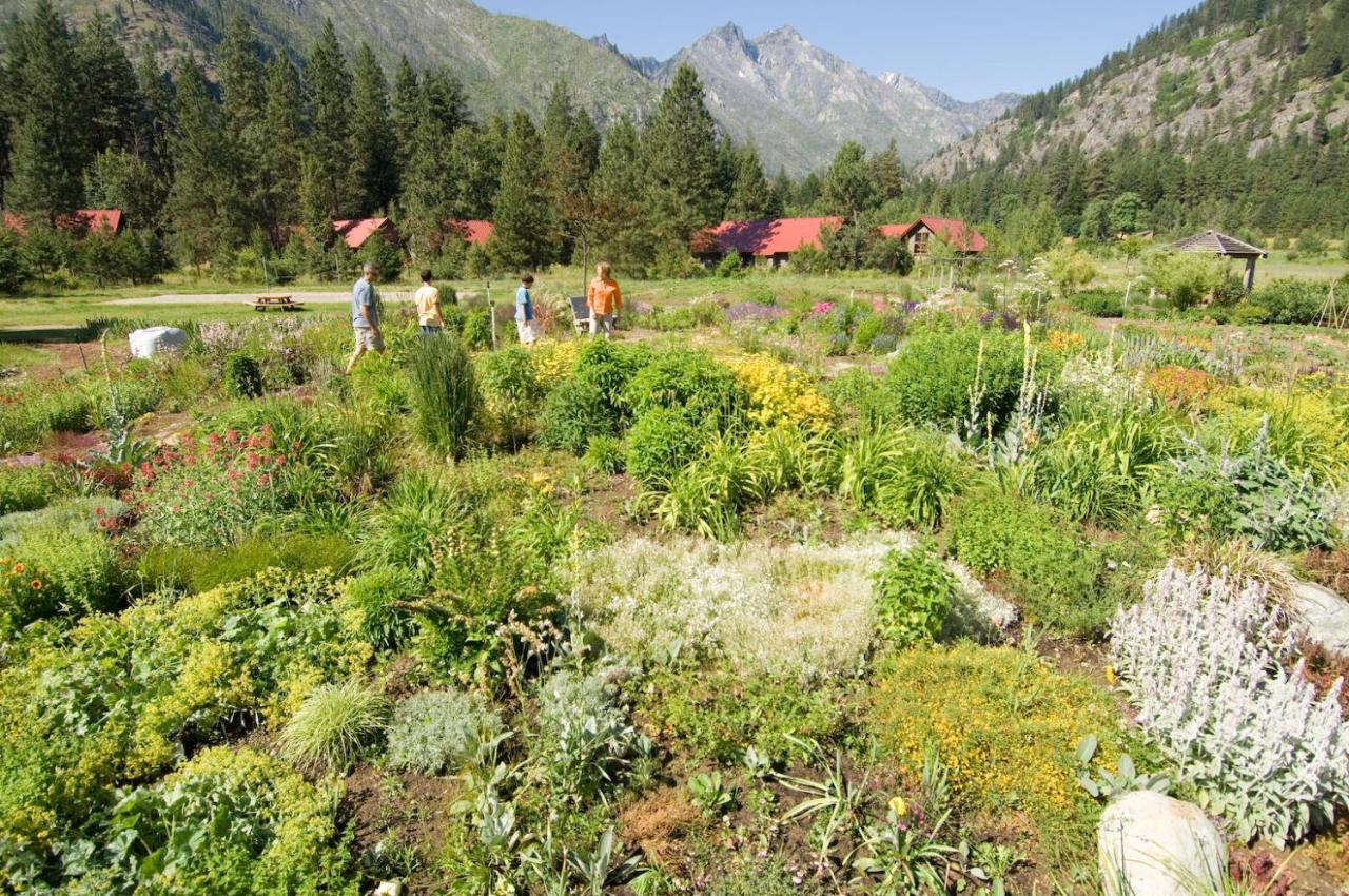 Sleeping Lady Mountain Resort Leavenworth Bagian luar foto